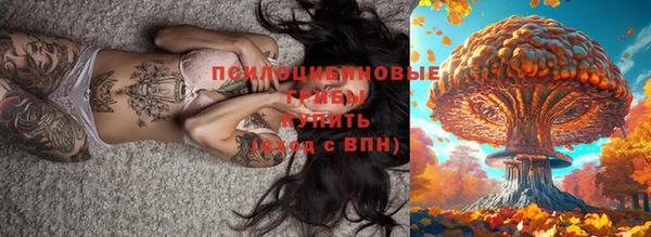 мяу мяу мука Елабуга
