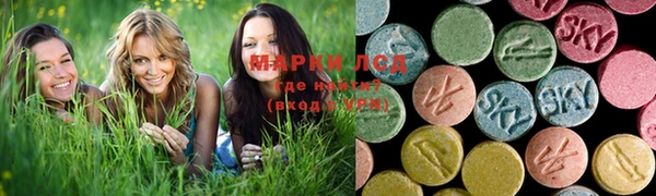 прущие крисы Алзамай